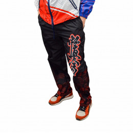 Брюки с полной запечаткой из дюспо без подклада