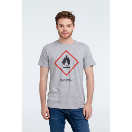 Футболка «Жар-птица», серый меланж