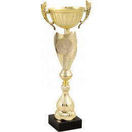 Кубок 7607A (52см) D-160