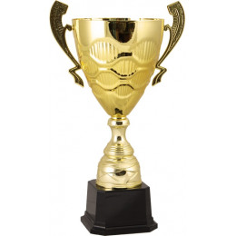 Кубок 2010B (54 см) D-220